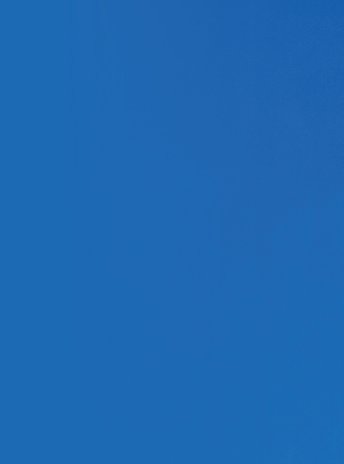 bingo plus.net